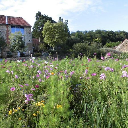 Vineyard Garden Studio Mont-Saint-Jean  Εξωτερικό φωτογραφία
